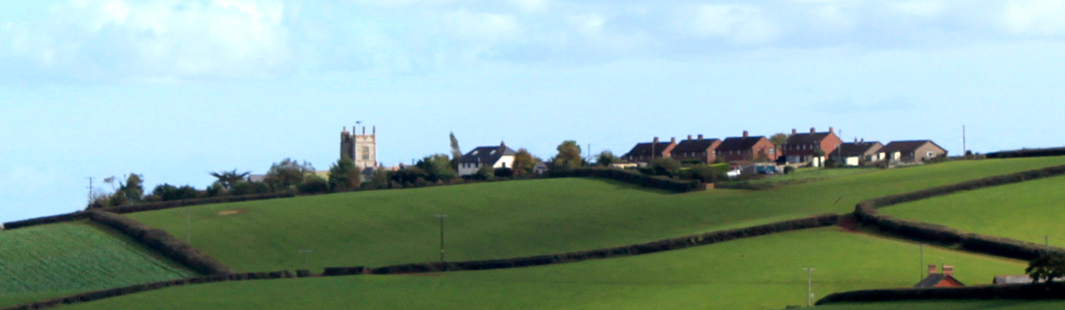 Header Image